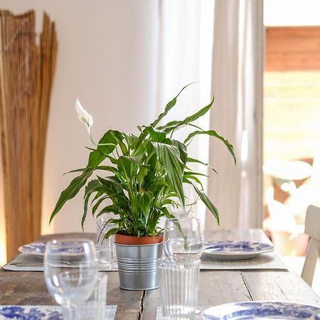 Spacious Apartment With Big Terrace At Colosseum روما المظهر الخارجي الصورة